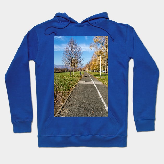 Walkway in nature with a bench, trees and street lamps Hoodie by KargacinArt